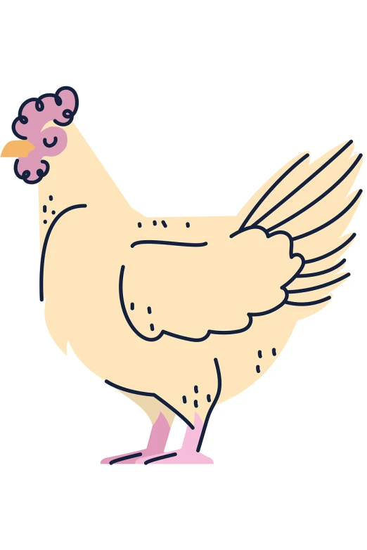 a close up of a chicken on a white background, an illustration of, naive art, standing confidently, blonde and attractive features, stylized bold outline, long pointy pink nose