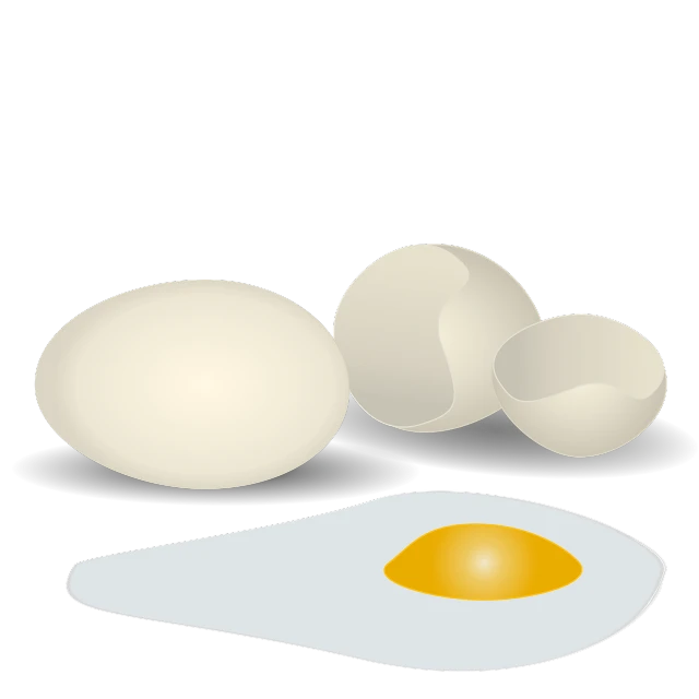 an egg and an egg yolk next to each other, an illustration of, minimalism, on a flat color black background, 2 0 1 0 photo