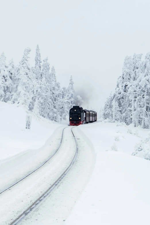 a train traveling through a snow covered forest, steam train, jovana rikalo, 6 4 0, hiroyuki kato