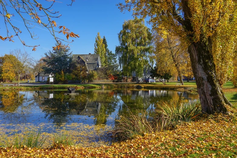 a pond filled with lots of water surrounded by trees, a photo, inspired by Ethel Schwabacher, shutterstock, beautiful small town, autum, idaho, village square