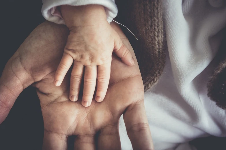 a close up of a person holding a child's hand, soft and warm, open palm, complex and desaturated, holding a stuff