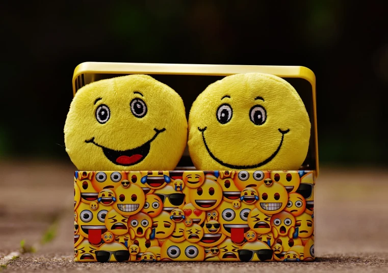 two yellow smiley faces sit in a small, open cardboard box