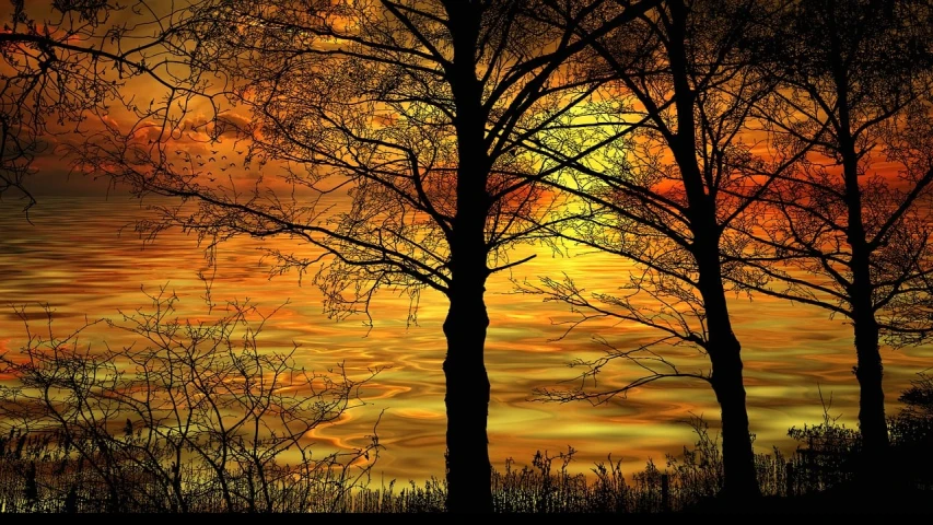 a sunset over a body of water with trees in the foreground, a digital rendering, romanticism, golden twilight stained glass, very beautiful photo, black silhouette, breath-taking beautiful trees