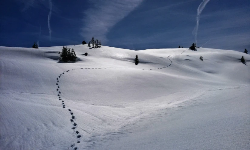 a snow covered mountain with tracks in the snow, a photo, by Anna Haifisch, flickr, precisionism, wilderness ground, meow, in the hillside, small steps leading down