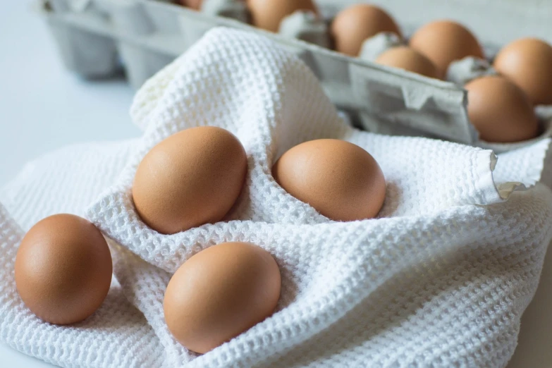 a bunch of brown eggs sitting on top of a white towel, a portrait, by Jan Tengnagel, unsplash, profile picture, performing, chicken, 1/4 profile