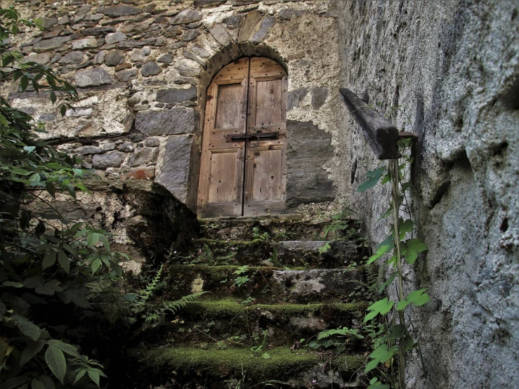 a stone stairway leading up to a wooden door, by Charmion von Wiegand, flickr, romanesque, nature overgrowth, banal but mysterious, castle on the mountain, doors that are cosmic portals