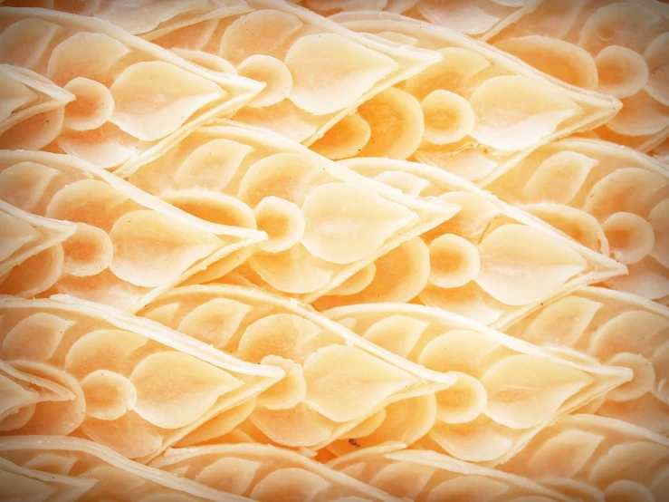a close up of a bowl of pasta, a macro photograph, by Dietmar Damerau, digital art, honeycomb background, ivory, pale orange colors, phone wallpaper