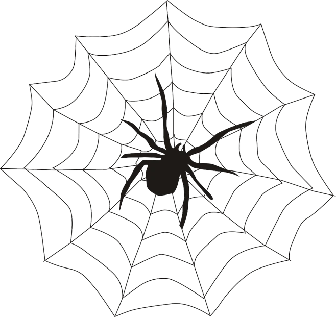 a spider sitting on top of a spider web, vector art, pixabay, net art, batoidea shape, zido, けもの, made in adobe illustrator