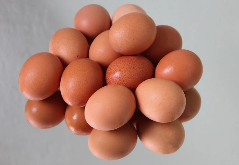 a bunch of eggs sitting on top of each other, a picture, by Jan Rustem, skin color, bottom - view, brown:-2, over-shoulder shot