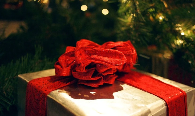 a gift wrapped in red ribbon next to a christmas tree, a picture, pixabay, happening, super close up shot, in 2 0 1 5, silver gold red details, sarah cliff