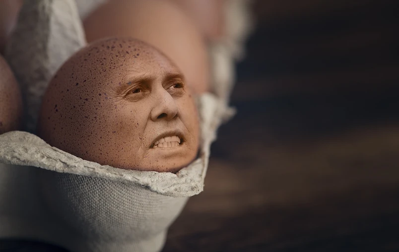 a close up of an egg in a carton, inspired by Heinz Anger, hyperrealism, studio photo of a ceramic figure, cloth simulation with houdini, silvio berlusconi, shot with sony alpha