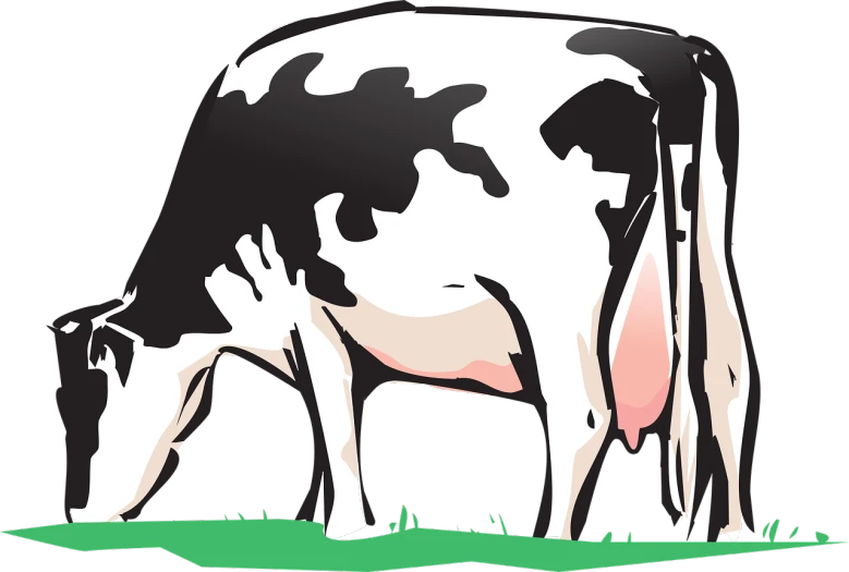 a black and white cow grazing on grass, pixabay, digital art, marker”, giant pig grass, flat color, high - contrast