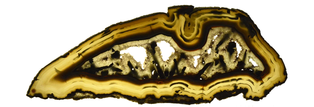 a slice of agate sitting on top of a table, a microscopic photo, by Juergen von Huendeberg, flickr, art nouveau, high detailed thin stalagmites, wide wide shot, high res photo, brittle. highly detailed