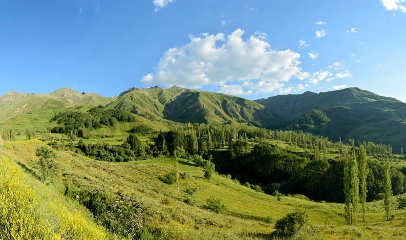 a man riding a horse down a lush green hillside, by Muggur, flickr, hurufiyya, panoramic widescreen view, azamat khairov, late afternoon, shan shui