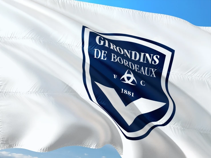 a large white flag flying in the wind, a digital rendering, by François Girardon, shutterstock, “hockey team logo, gradins, no borders, gfd logo