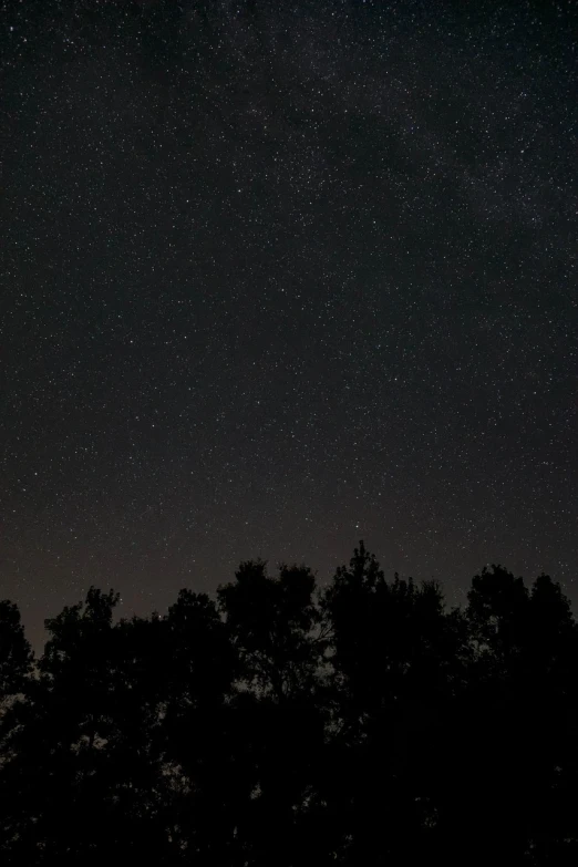 a sky filled with lots of stars next to trees, minimalism, shot with a camera flash, looking towards the horizon, clair obscur, panorama