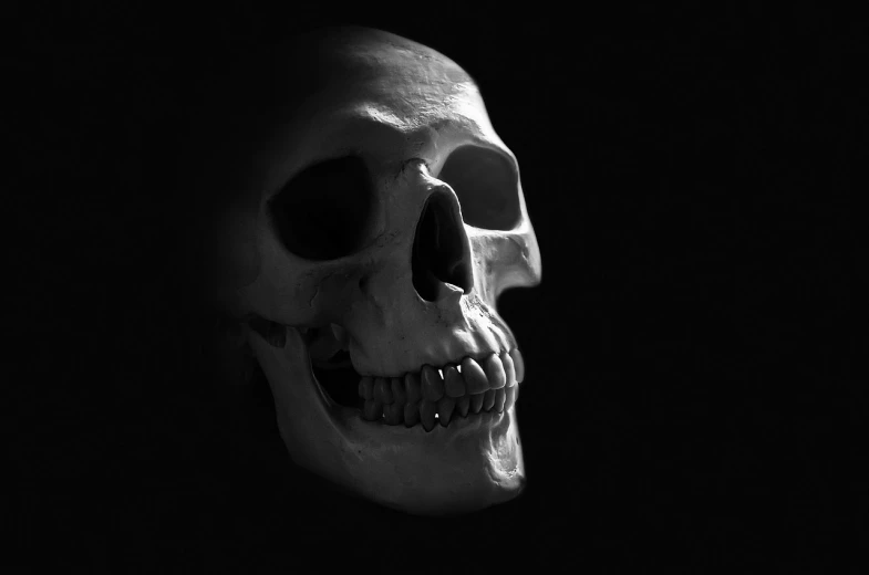 a black and white photo of a skull, a black and white photo, pixabay, human jaw, vampire, wallpaper - 1 0 2 4, portrait shot 8 k
