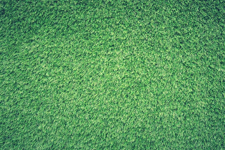 a close up of a green grass field, by Richard Carline, drone point of view, best on adobe stock, textured like a carpet, turf roof