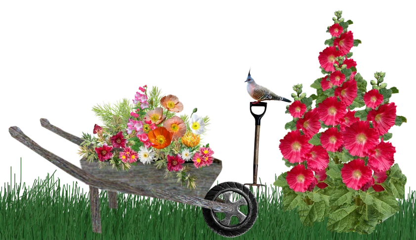 a bird sitting on top of a wheelbarrow, by Susan Heidi, digital art, floral environment, in front of a black background, garden with flowers background, rotating