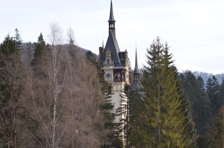 a clock tower in the middle of a forest, art nouveau, in the mountains, telephoto shot, february), located in a castle