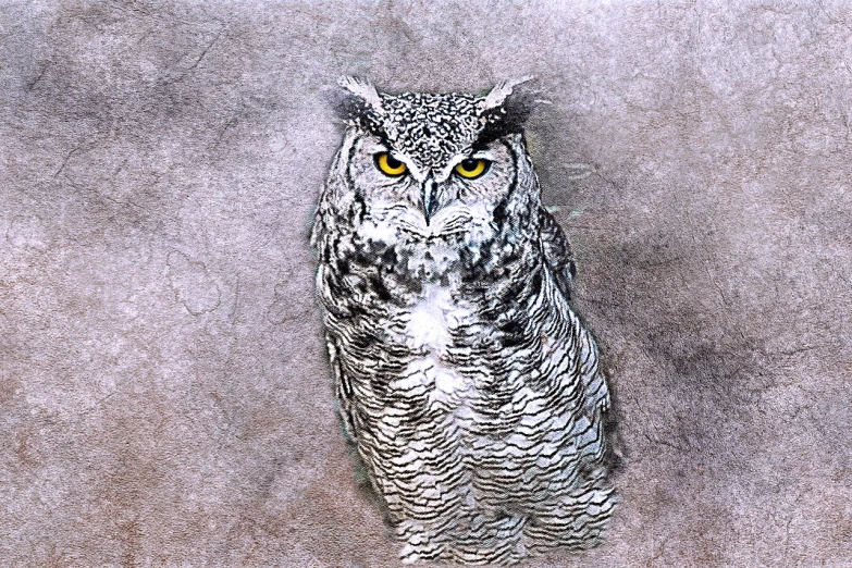 an owl that is sitting on the ground, fine art, marbled, photo illustration, faux painting, above view