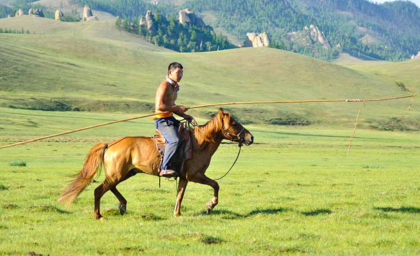 a man riding on the back of a brown horse, by Muggur, flickr, running in savana, lasso, 8k)), nezha