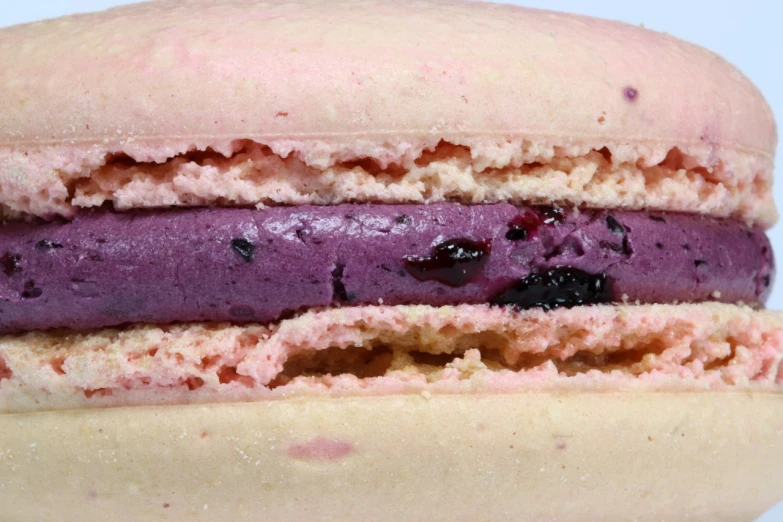 a close up of a macaron on a plate, blueberry, full colour, ice cream, very close detailed closeup