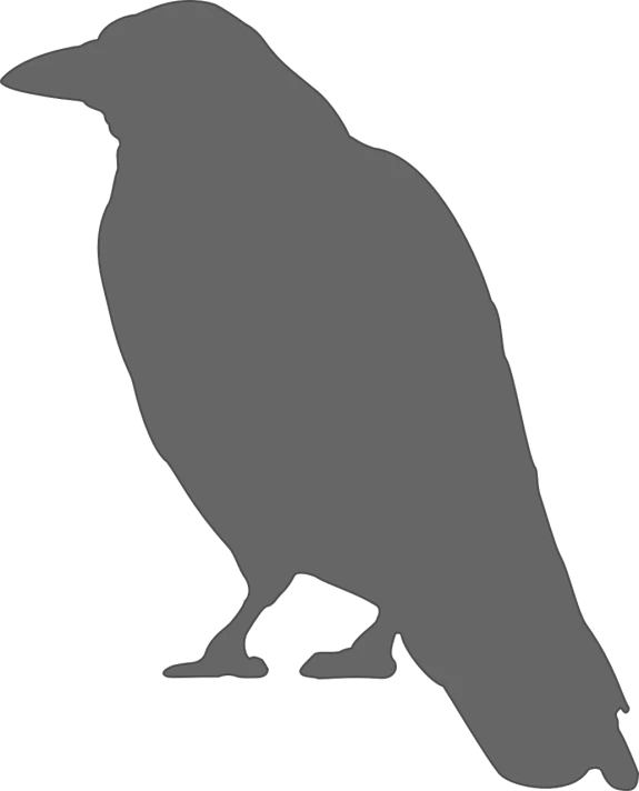 a silhouette of a bird on a black background, a raytraced image, inspired by Gonzalo Endara Crow, reddit, sōsaku hanga, view(full body + zoomed out), scholar, puṣkaracūḍa, group photo