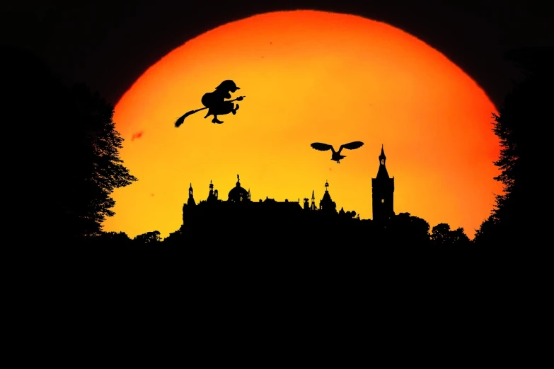 a silhouette of a bird flying in front of a setting sun, a storybook illustration, inspired by Tove Jansson, symbolism, hogwarts castle, mid shot photo