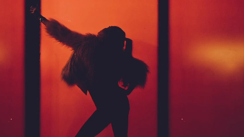 a woman standing in front of a red wall, inspired by Elsa Bleda, backlit fur, dance scene, instagram picture, silhouetted