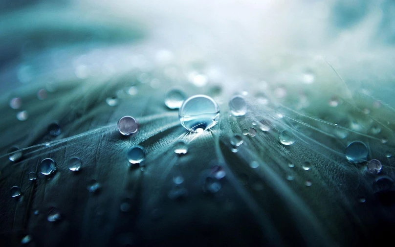 a close up of water droplets on a dandelion, by Eugeniusz Zak, teal aesthetic, mikko lagerstedt, iphone background, shades of blue