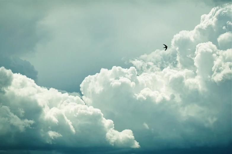 a bird flying through a cloudy blue sky, minimalism, giant clouds, black clouds, dream, the