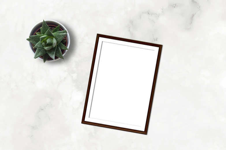 a picture frame sitting on top of a table next to a potted plant, a picture, inspired by Masamitsu Ōta, pexels, clean white paper background, marble background, with blunt brown border, view from above