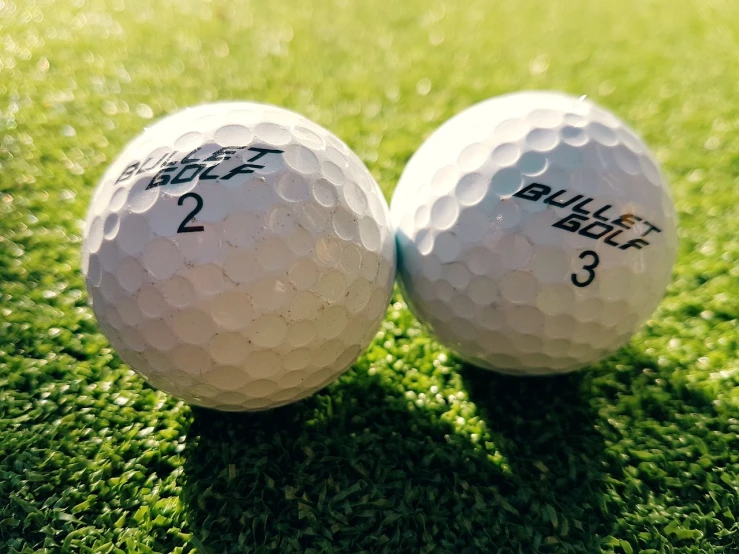 two golf balls sitting on top of a lush green field, a picture, bauhaus, white muzzle and underside, high quality product image”, buzzed sides, a close up shot