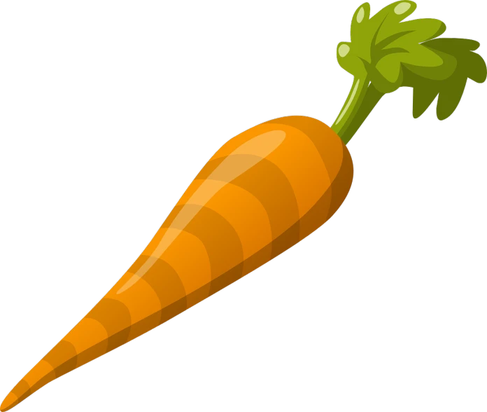 a close up of a carrot on a black background, a screenshot, pixabay, game icon asset, long nose, rating: general, salad