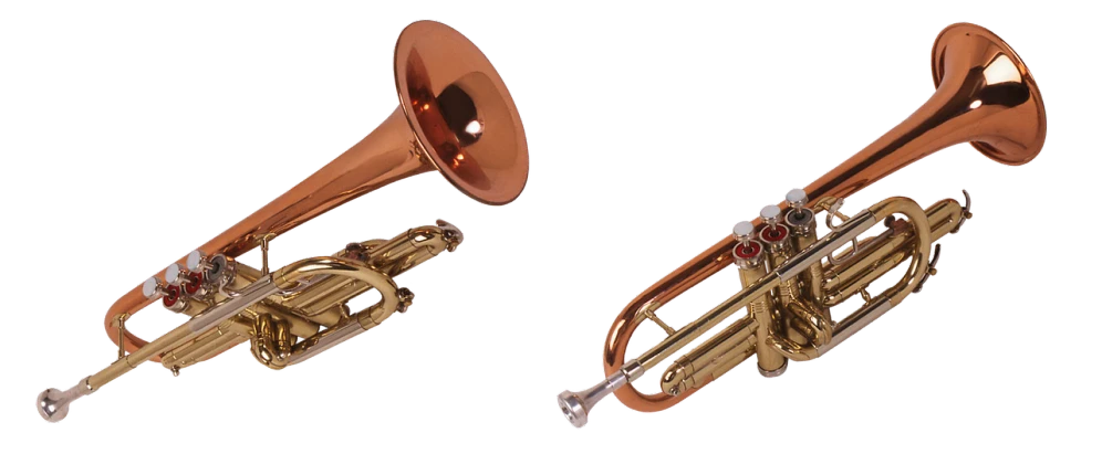 a couple of trumpets sitting next to each other, by Robert Childress, top and side view, copper, cutaway, canyon