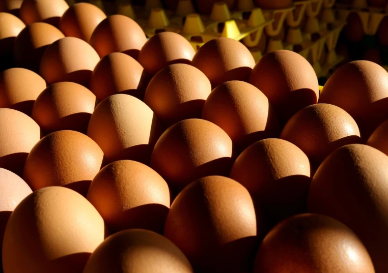 a pile of brown eggs sitting on top of a table, a picture, by Juan O'Gorman, backlight, istockphoto, view from bottom to top, clay