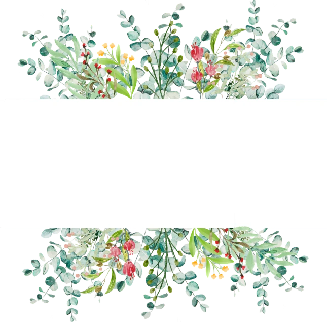 a floral frame on a black background, a digital rendering, by Gawen Hamilton, shutterstock, eucalyptus, background is white and blank, full color illustration, half image