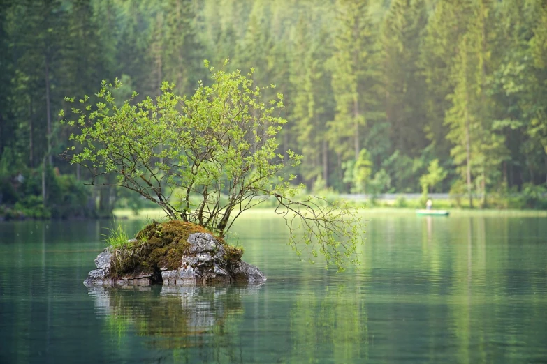 a small tree sitting on top of a rock in the middle of a lake, by Franz Hegi, lush green forest, beatiful backgrounds, calming, green waters