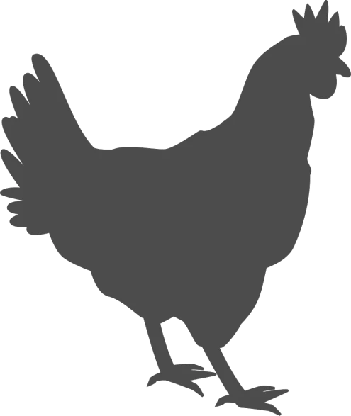 a silhouette of a chicken on a black background, pixabay, grayish, farming, 000 — википедия, overview