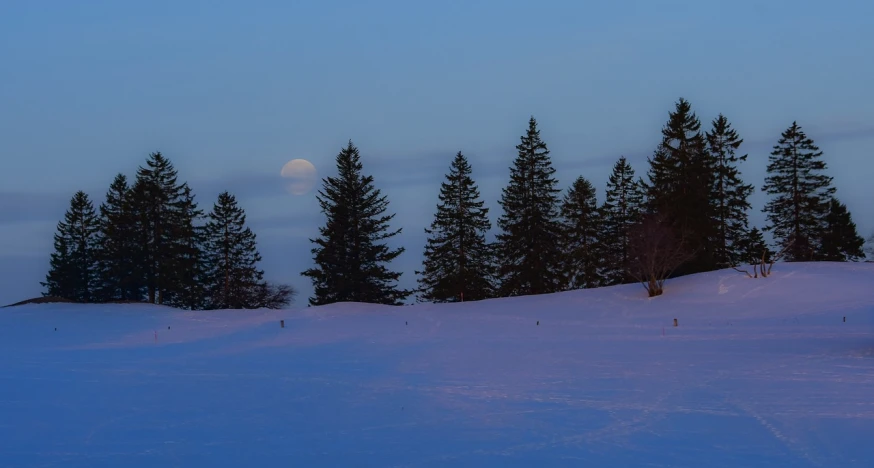 a person riding skis down a snow covered slope, flickr, fine art, saturn and supermoon in the sky, spruce trees, blue hour, sous la pleine lune