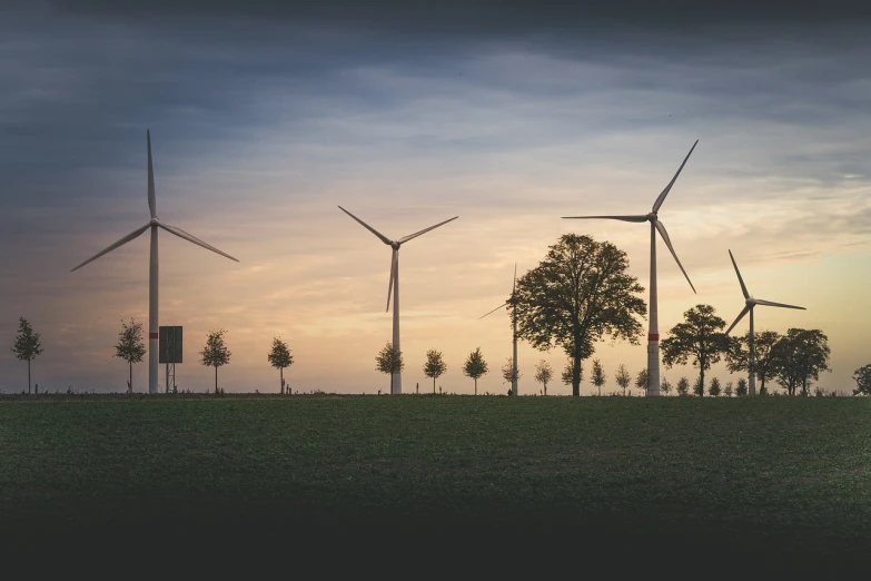 a group of wind turbines sitting on top of a lush green field, a picture, by Jesper Knudsen, pexels contest winner, with a tree in the background, dusk setting, lined up horizontally, sustainable materials