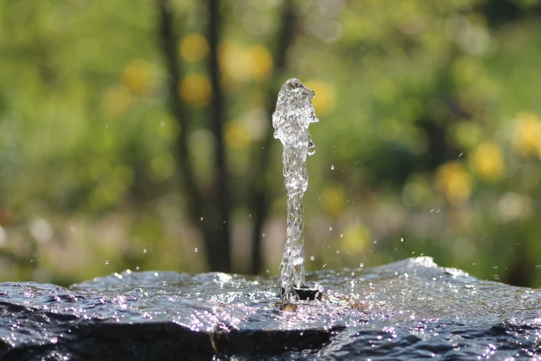 a close up of a fountain with water coming out of it, a picture, by Cherryl Fountain, minimalism, sunny summer day, nature photo, small depth of field, stock photo