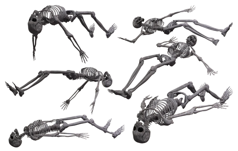 a bunch of skeletons laying on top of each other, inspired by Laurie Lipton, featured on zbrush central, highly detailed textured 8k, various bending poses, night time, lowres