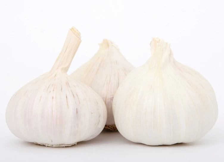 three bulbs of garlic on a white surface, a picture, by Jan Zrzavý, pixabay, hurufiyya, white neck visible, sauce, set against a white background, white haired