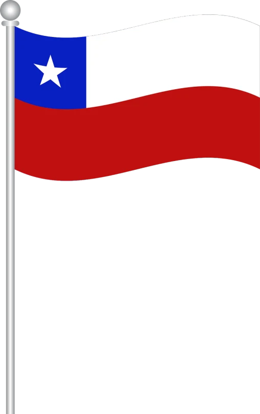 a texas flag waving in the wind, a digital rendering, by Ceferí Olivé, sōsaku hanga, deck, chilean, black border, mobile