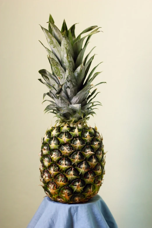 a pineapple sitting on top of a blue cloth, a picture, pexels, hyperrealism, on a gray background, musty, close up to a skinny, highly detailed product photo