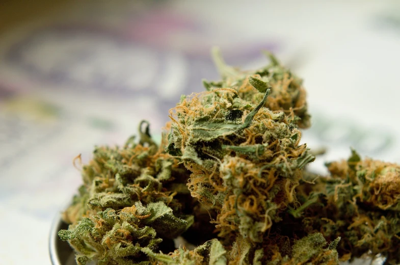 a spoon full of marijuana sitting on top of a table, a macro photograph, depth of field”, lush greens, profile shot, yummy