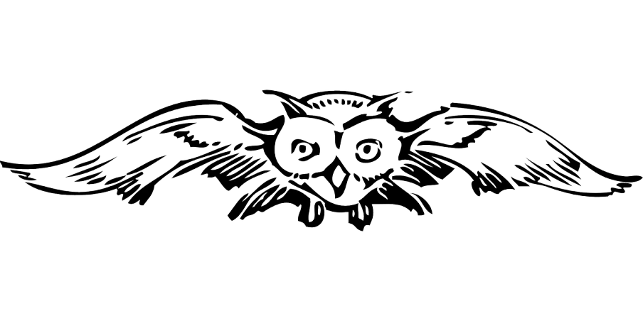 a black and white drawing of an owl, a woodcut, pixabay, banner, widescreen, thumbnail, ((woodblock))