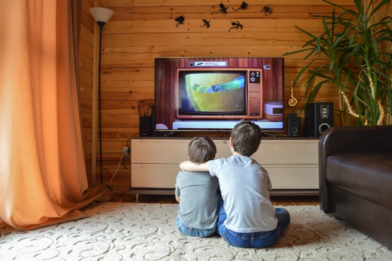 a couple of kids sitting in front of a tv, by Douglas Shuler, shutterstock, calm serene atmosphere, video footage, stock photo, brothers